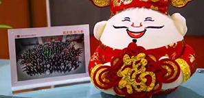 福祿壽喜報(bào)道，拓樸設(shè)計(jì)給您拜年啦！